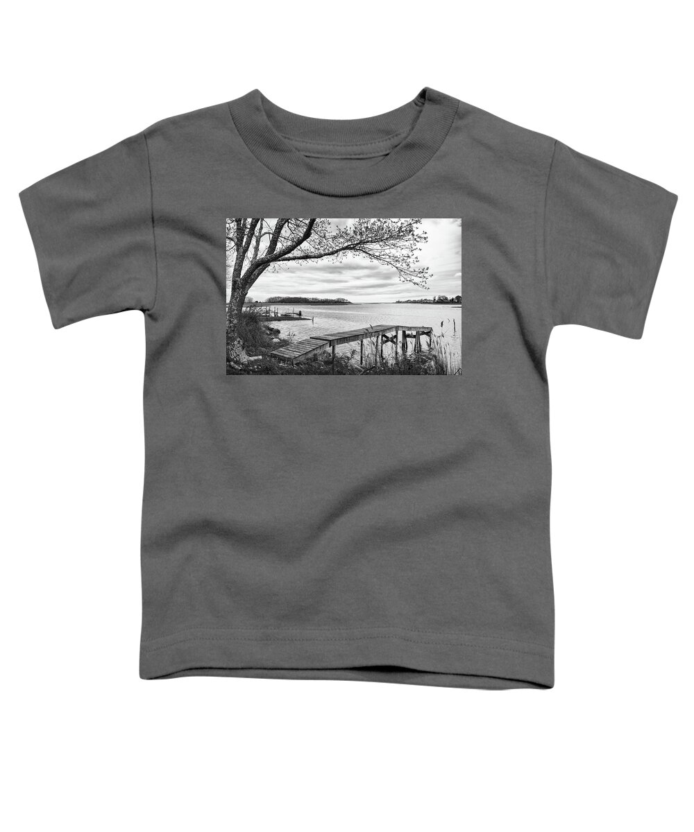 Coast Toddler T-Shirt featuring the photograph Salt marsh in spring #2 by Marianne Campolongo