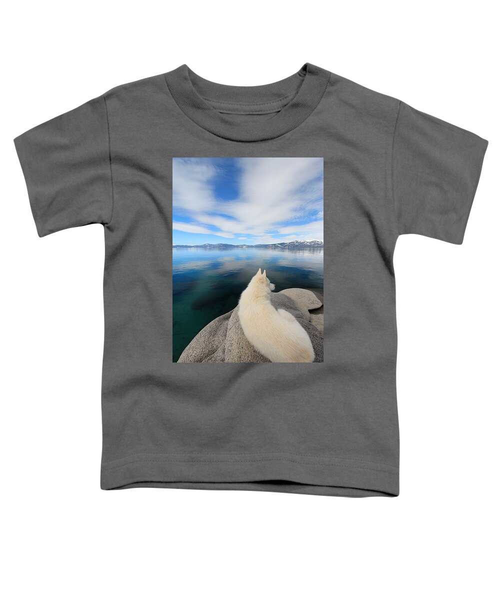 Lake Tahoe Toddler T-Shirt featuring the photograph Sekani #1 by Sean Sarsfield