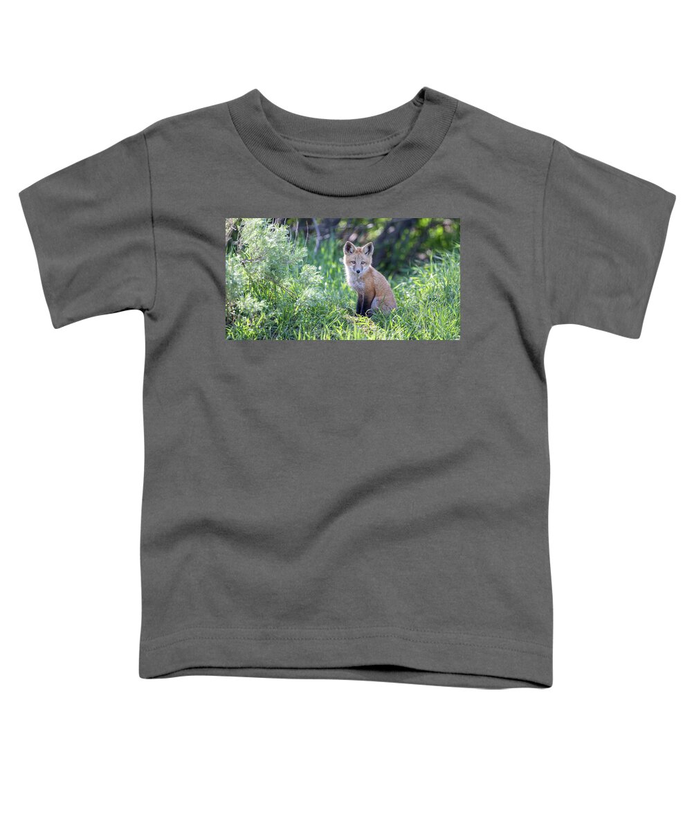 Fox Toddler T-Shirt featuring the photograph Soul Center #1 by Kevin Dietrich