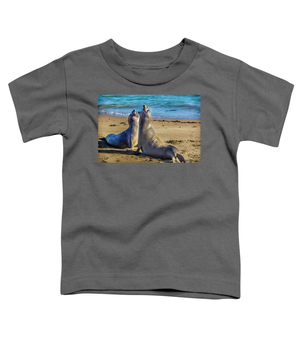 California Toddler T-Shirt featuring the photograph sparring Elephant Seals #1 by Donald Pash