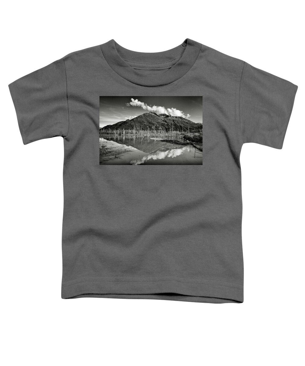Alaska Wilderness Toddler T-Shirt featuring the photograph Turnagain Arm Alaska by Donald Pash