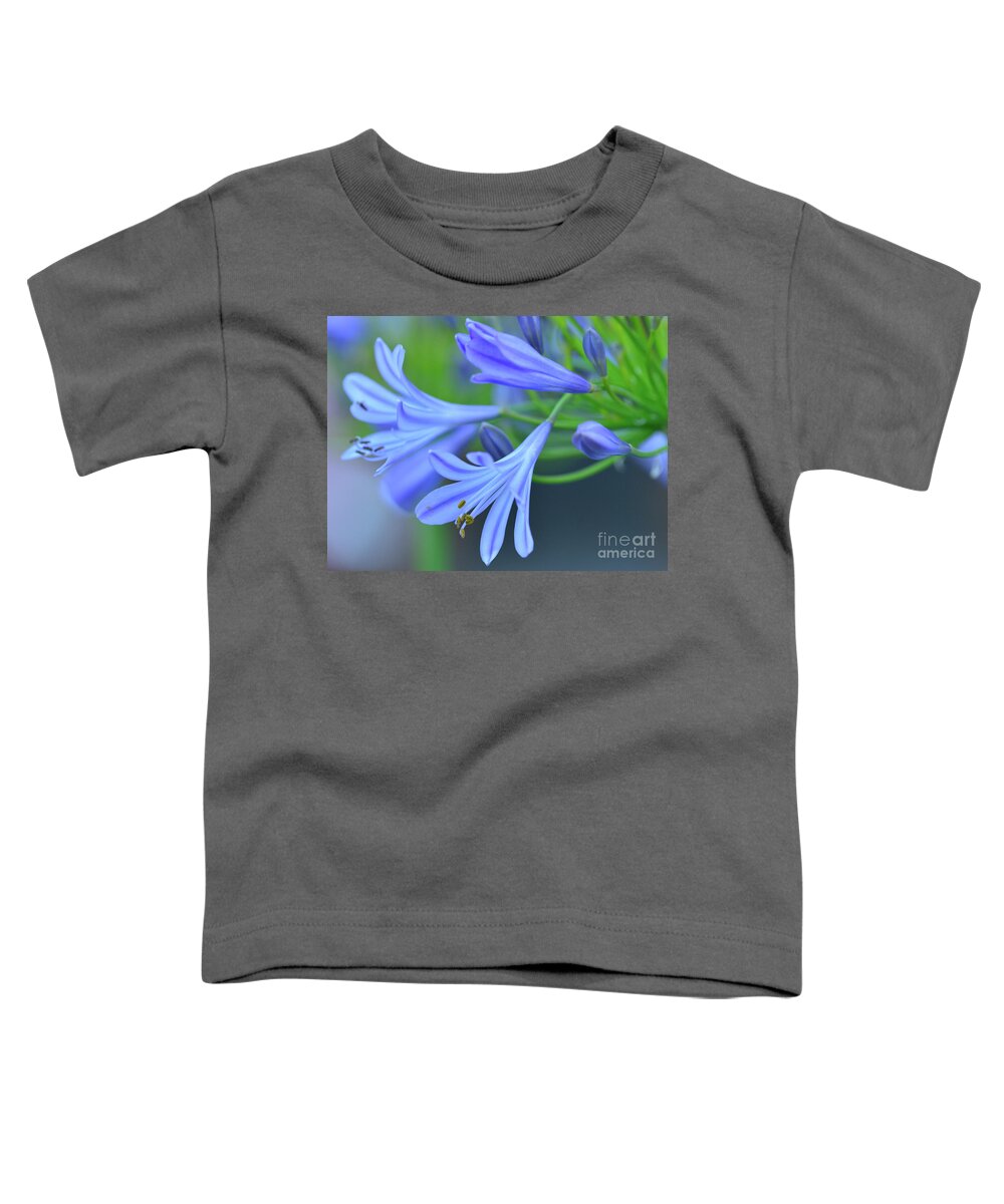 Agapanthus Toddler T-Shirt featuring the photograph Agapanthus #17 by Marc Bittan