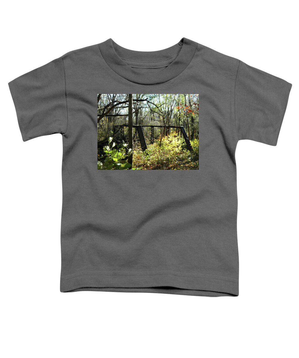 Ye Old Tracks Toddler T-Shirt featuring the photograph Ye Old Tracks #2 by Cyryn Fyrcyd