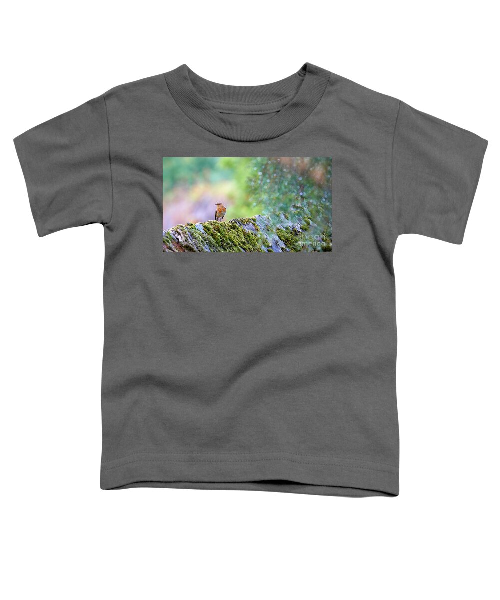 Cute Toddler T-Shirt featuring the photograph European Robin Erithacus rubecula #4 by Pablo Avanzini