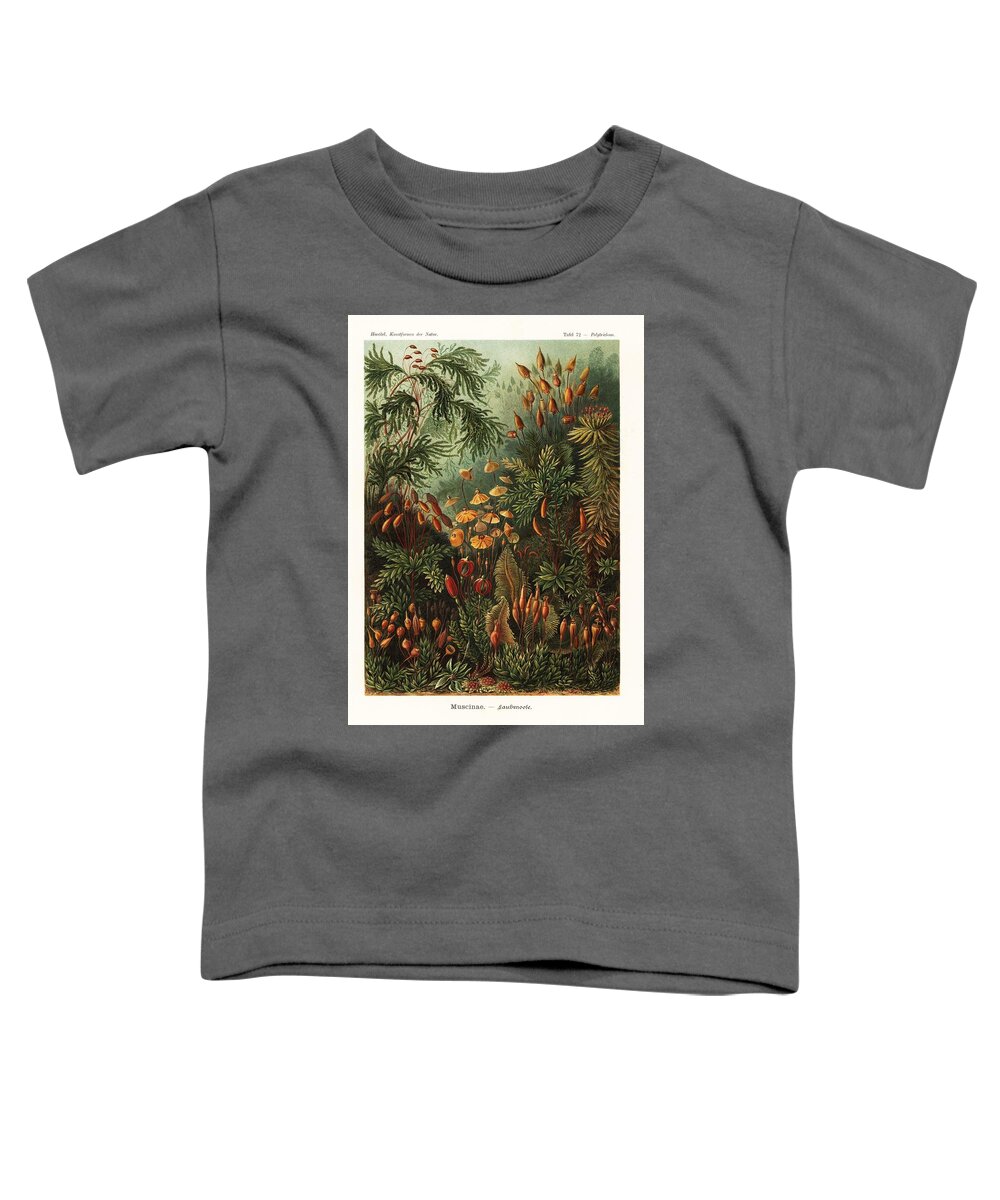 Adolf Glitsch Toddler T-Shirt featuring the drawing Art Forms in Nature, Kunstformen der Natur, Liepzig, Germany, 1904. #6 by Album