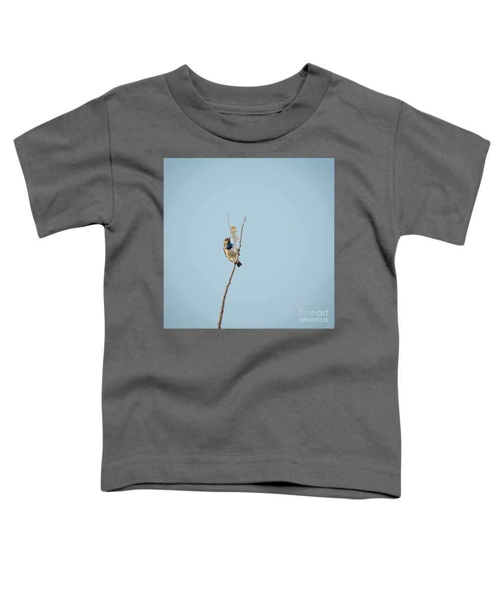 Africa Toddler T-Shirt featuring the photograph Bird #6 by Timothy Hacker