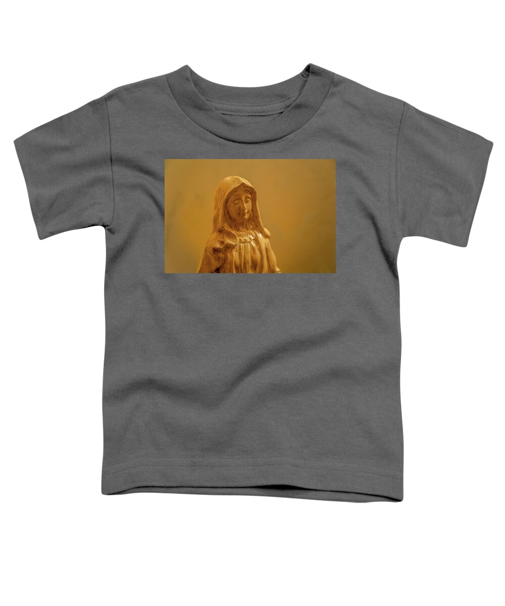 Mary Toddler T-Shirt featuring the photograph The Blessed Virgin Mary #7 by Vivida Photo PC