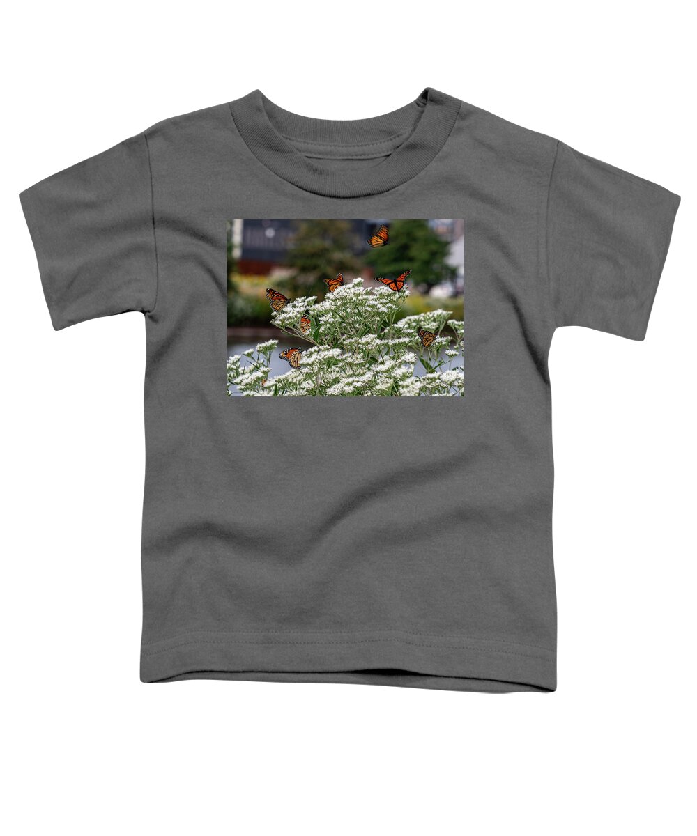 Butterfly Toddler T-Shirt featuring the photograph Just Amazing by Kristine Hinrichs