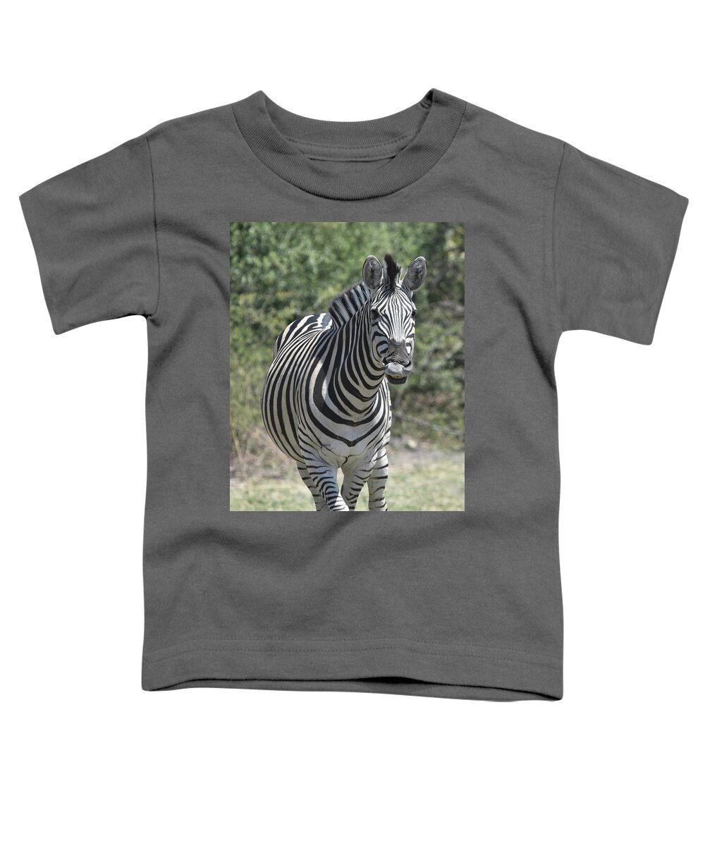 Zebra Toddler T-Shirt featuring the photograph A Curious Zebra by Ben Foster