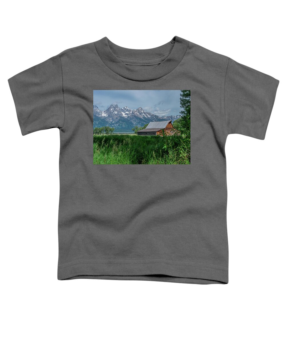T.a. Moulton Barn Toddler T-Shirt featuring the photograph A Different View of the T.A. Moulton Barn by Douglas Wielfaert