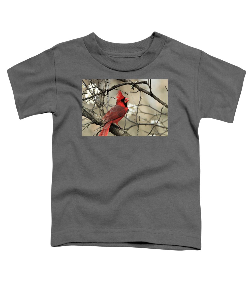 Nature Toddler T-Shirt featuring the photograph A Song For Spring by Sheila Brown