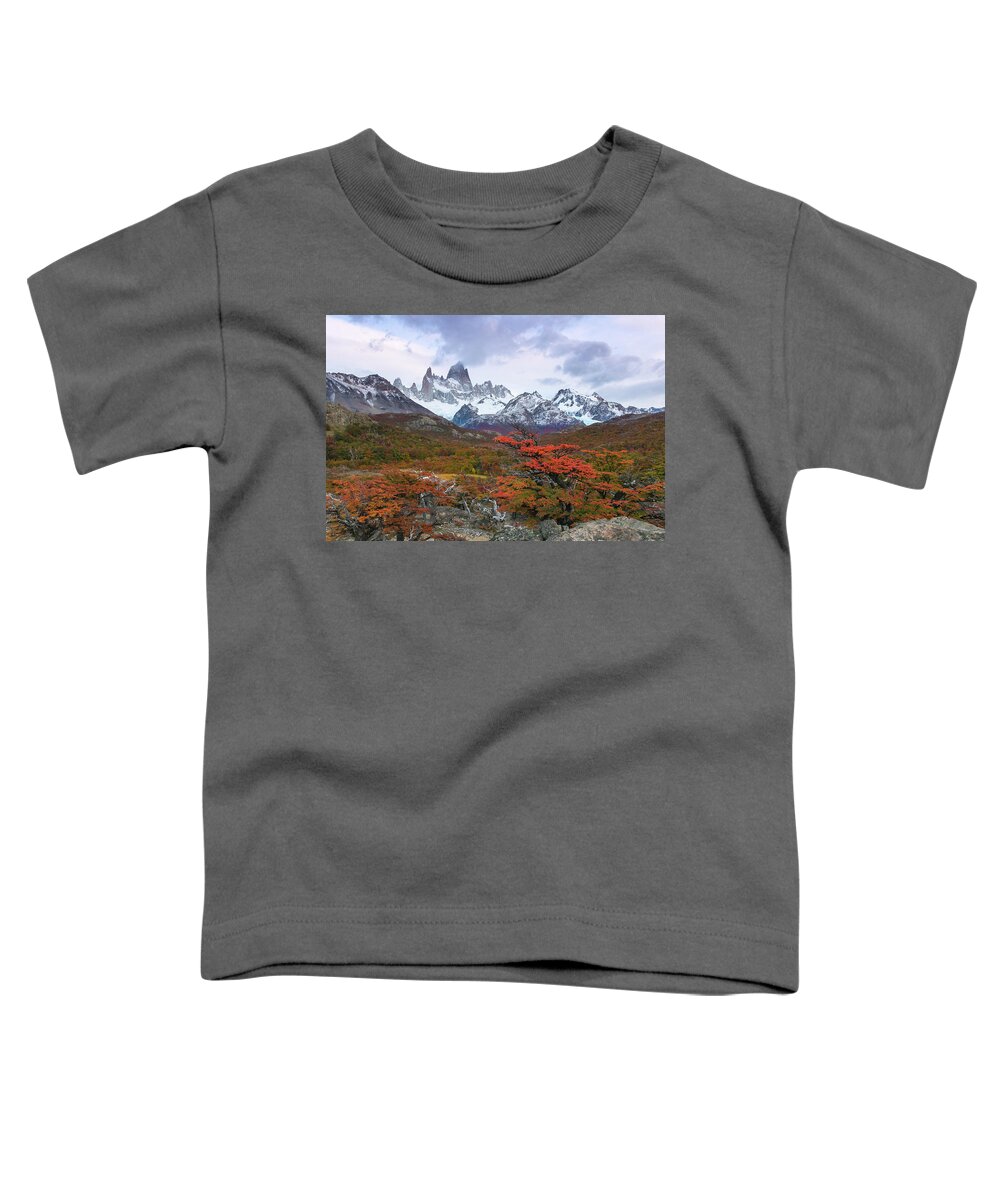 Patagonia Toddler T-Shirt featuring the photograph Acun by Ryan Weddle