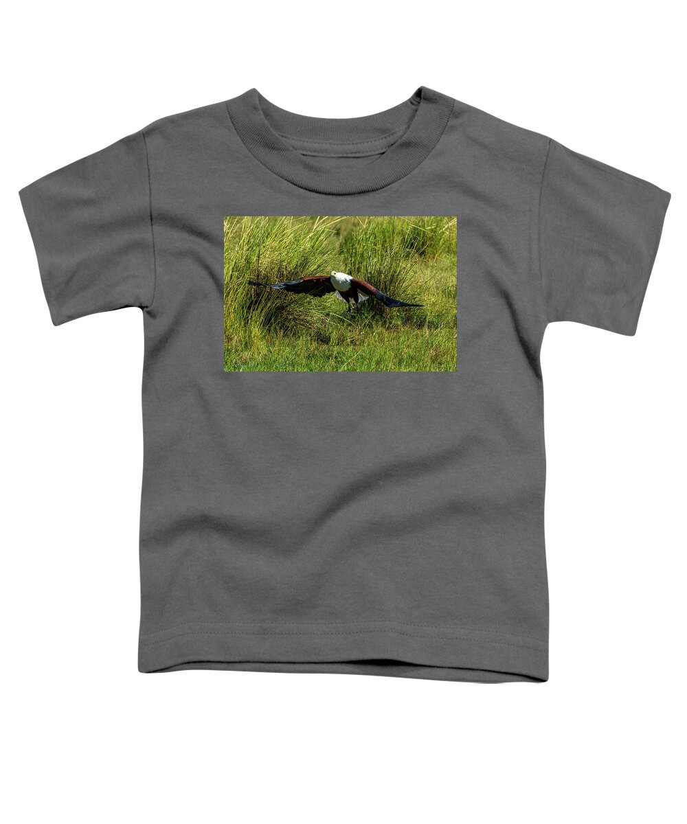 Africa Toddler T-Shirt featuring the photograph African Fish Eagle by Douglas Wielfaert