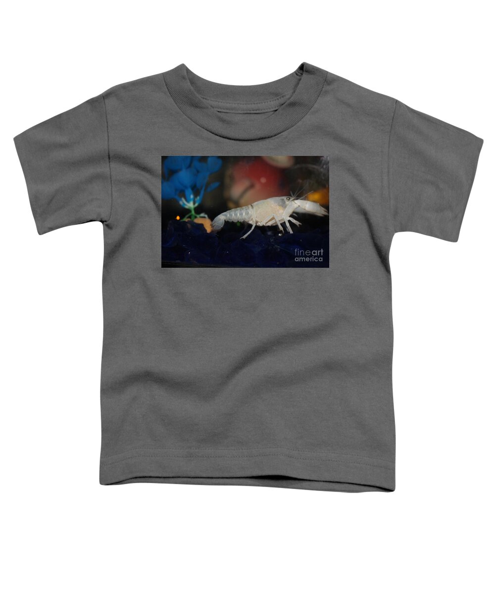 Albino Lobster Toddler T-Shirt featuring the photograph Albino Lobster by Barbra Telfer