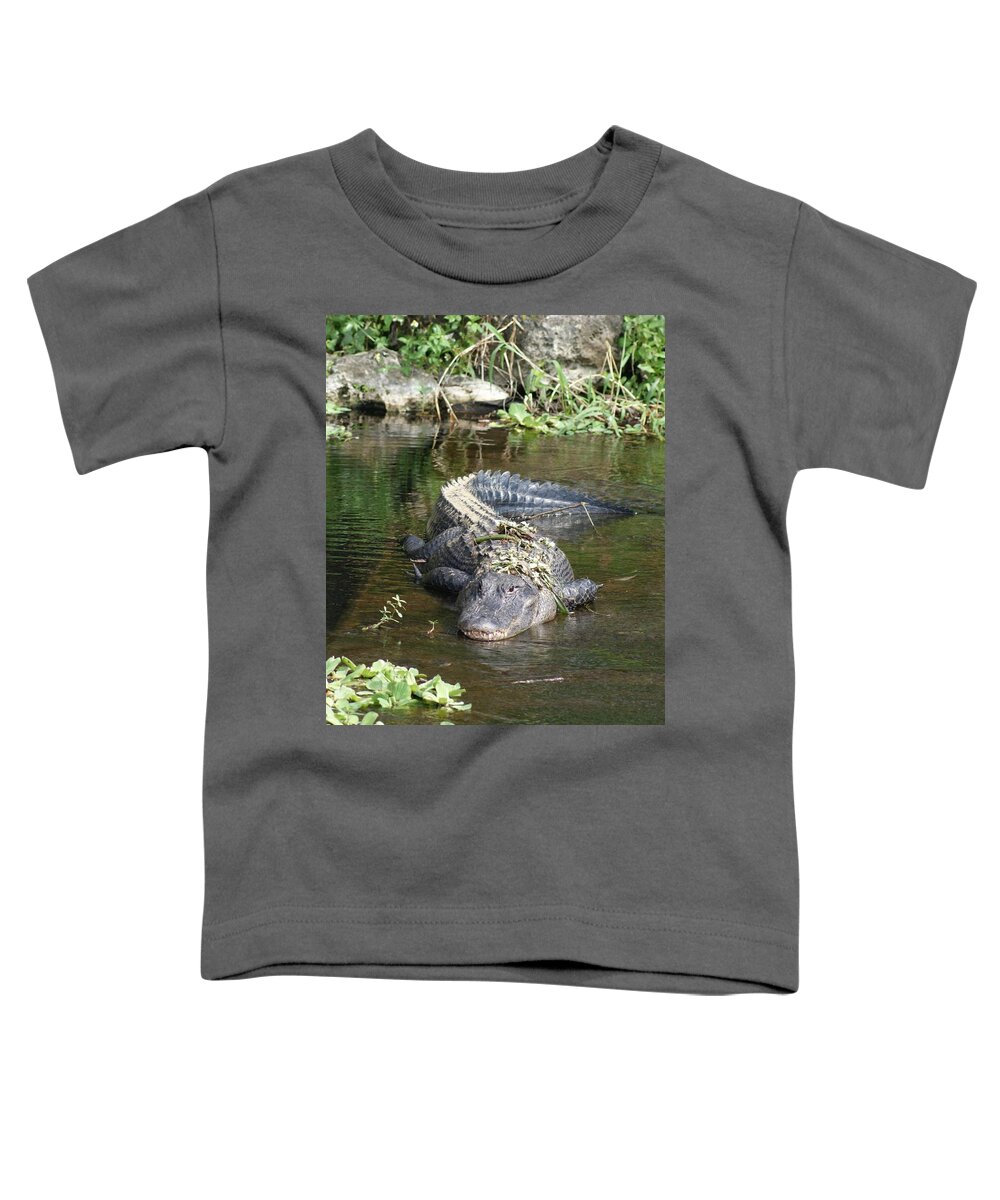 Florida Toddler T-Shirt featuring the photograph Alligator Day Spa by Lindsey Floyd