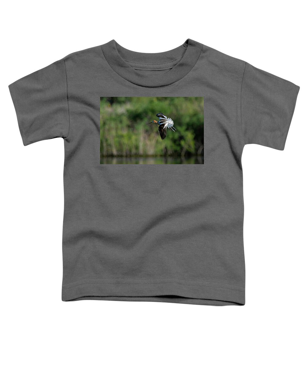 American Avocet Toddler T-Shirt featuring the photograph American Avocet Landing by Rick Mosher