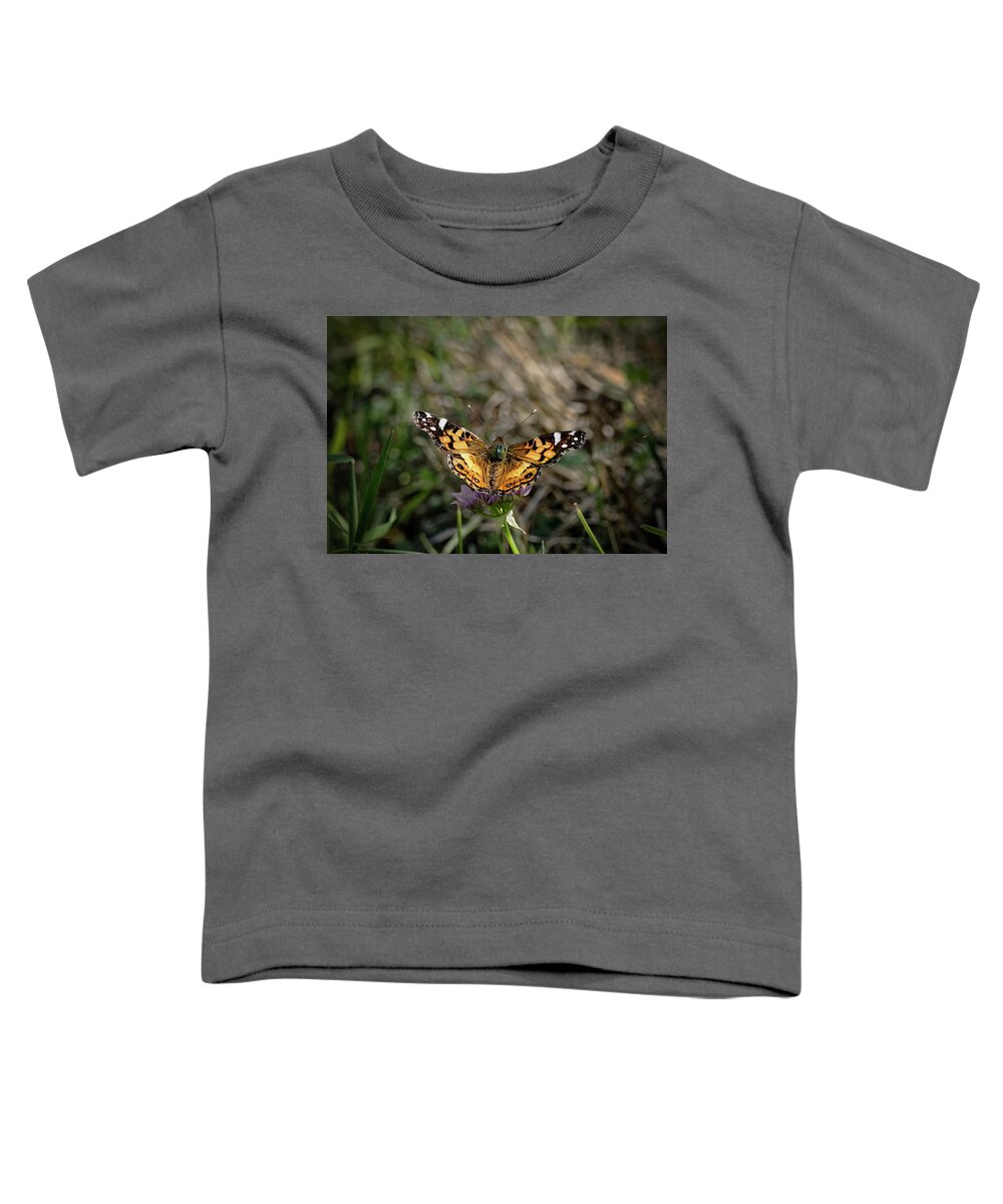 Betty Depee Toddler T-Shirt featuring the photograph American Painted Lady by Betty Depee