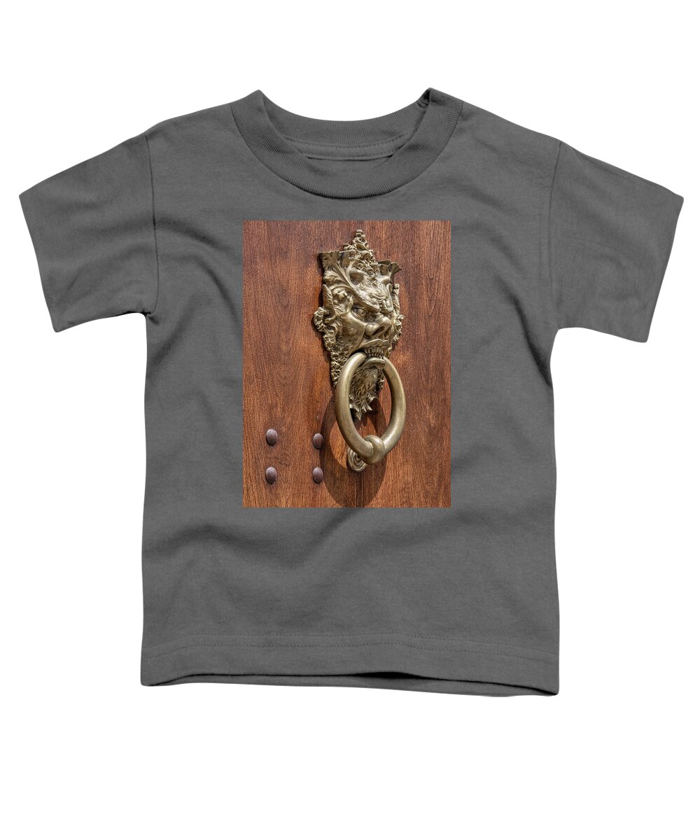 Devil Toddler T-Shirt featuring the photograph Angry Devil of Venice by David Letts