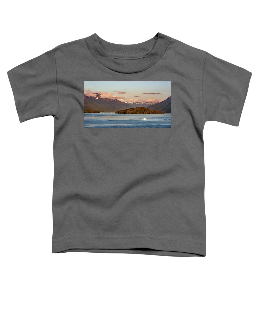 Dusk Toddler T-Shirt featuring the photograph Approaching Dusk by Marcy Wielfaert