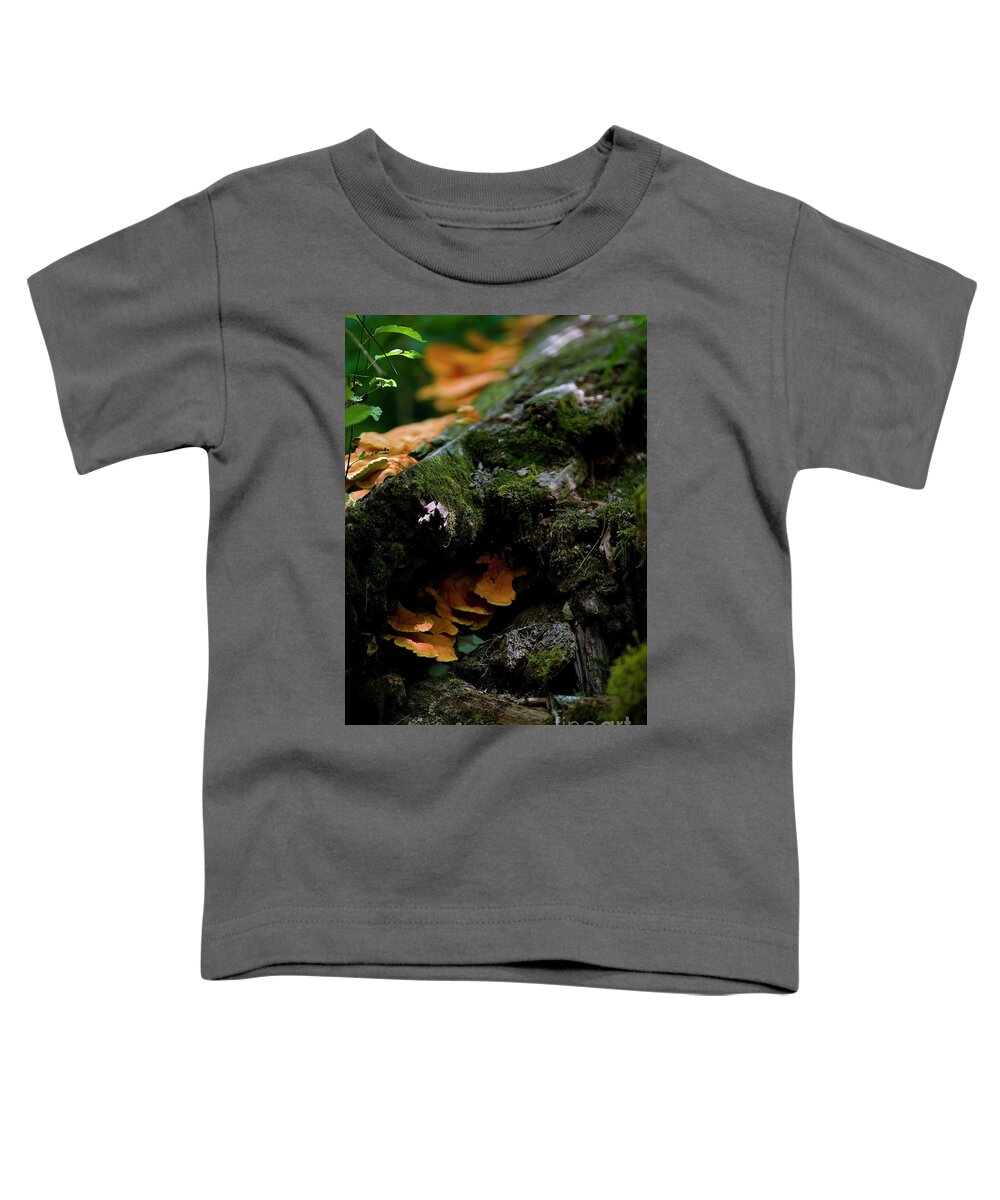 Outsideshooter Toddler T-Shirt featuring the photograph Face, Asleep in a Log by Rich Collins