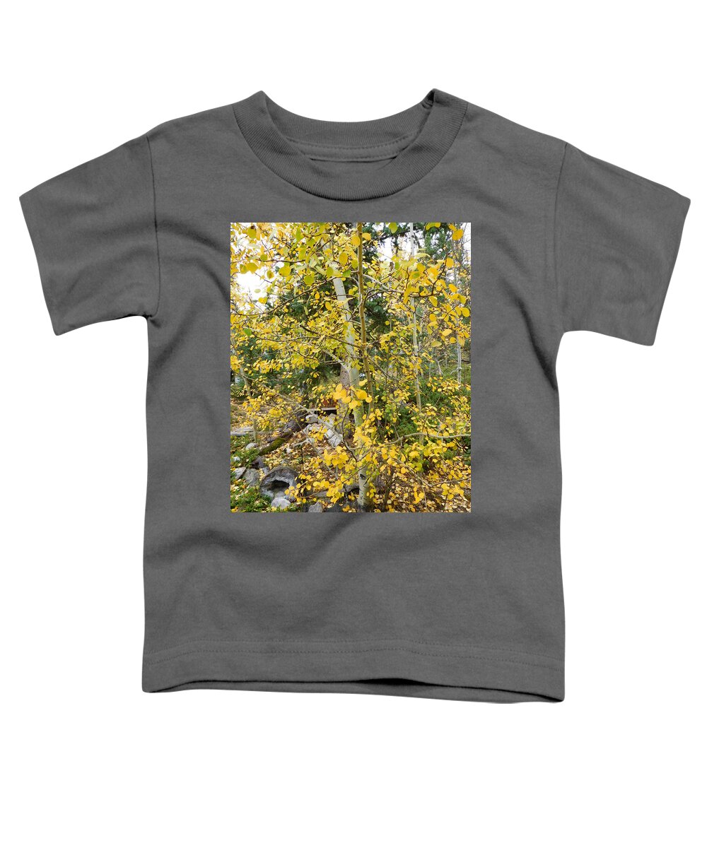 Aspens Toddler T-Shirt featuring the photograph Aspens Up Close by Karen Stansberry