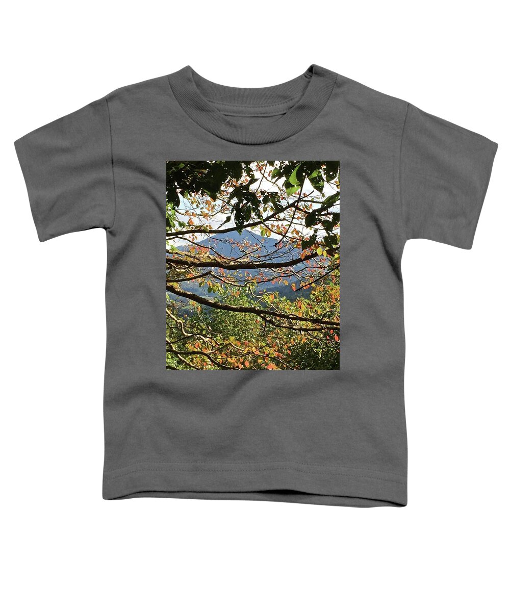 Mountain Toddler T-Shirt featuring the photograph Autumn Mountain by Kathy Ozzard Chism
