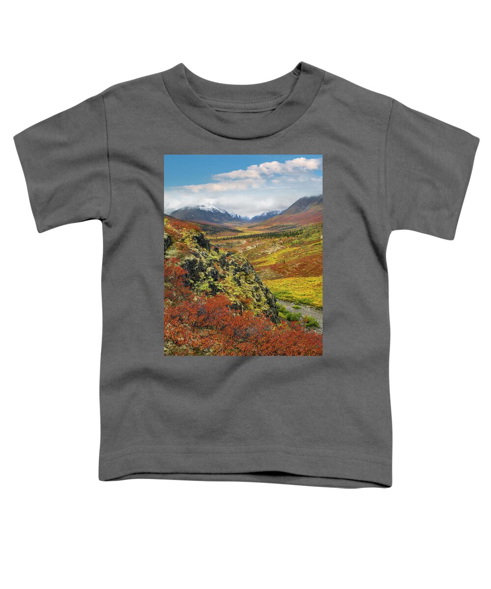 00586334 Toddler T-Shirt featuring the photograph Autumn Tundra, Tombstone Range, Tombstone Territorial Park, Yukon by Tim Fitzharris