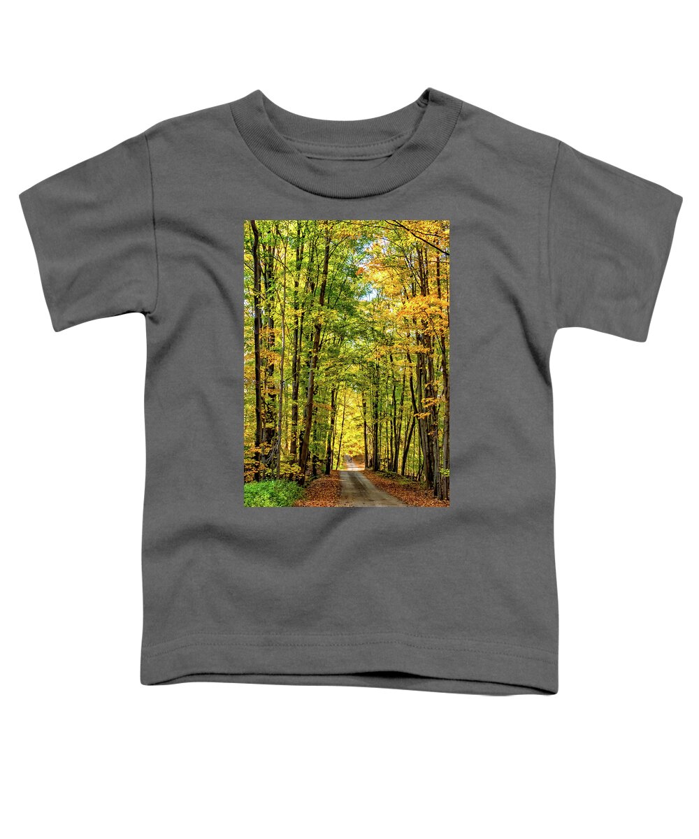 Steve Harrington Toddler T-Shirt featuring the photograph Autumn Wandering - Ontario Backroads 9 by Steve Harrington