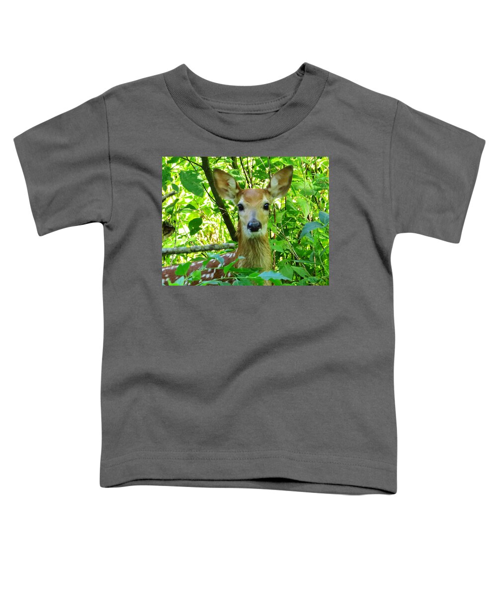 Deer Toddler T-Shirt featuring the photograph Babe in the Wood by Lori Frisch