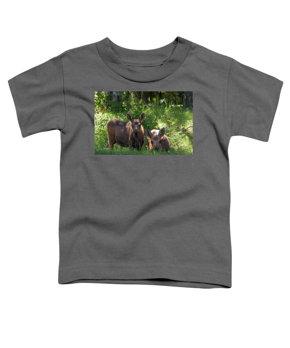 Alaska Toddler T-Shirt featuring the photograph Baby Moose in Woods by Scott Slone