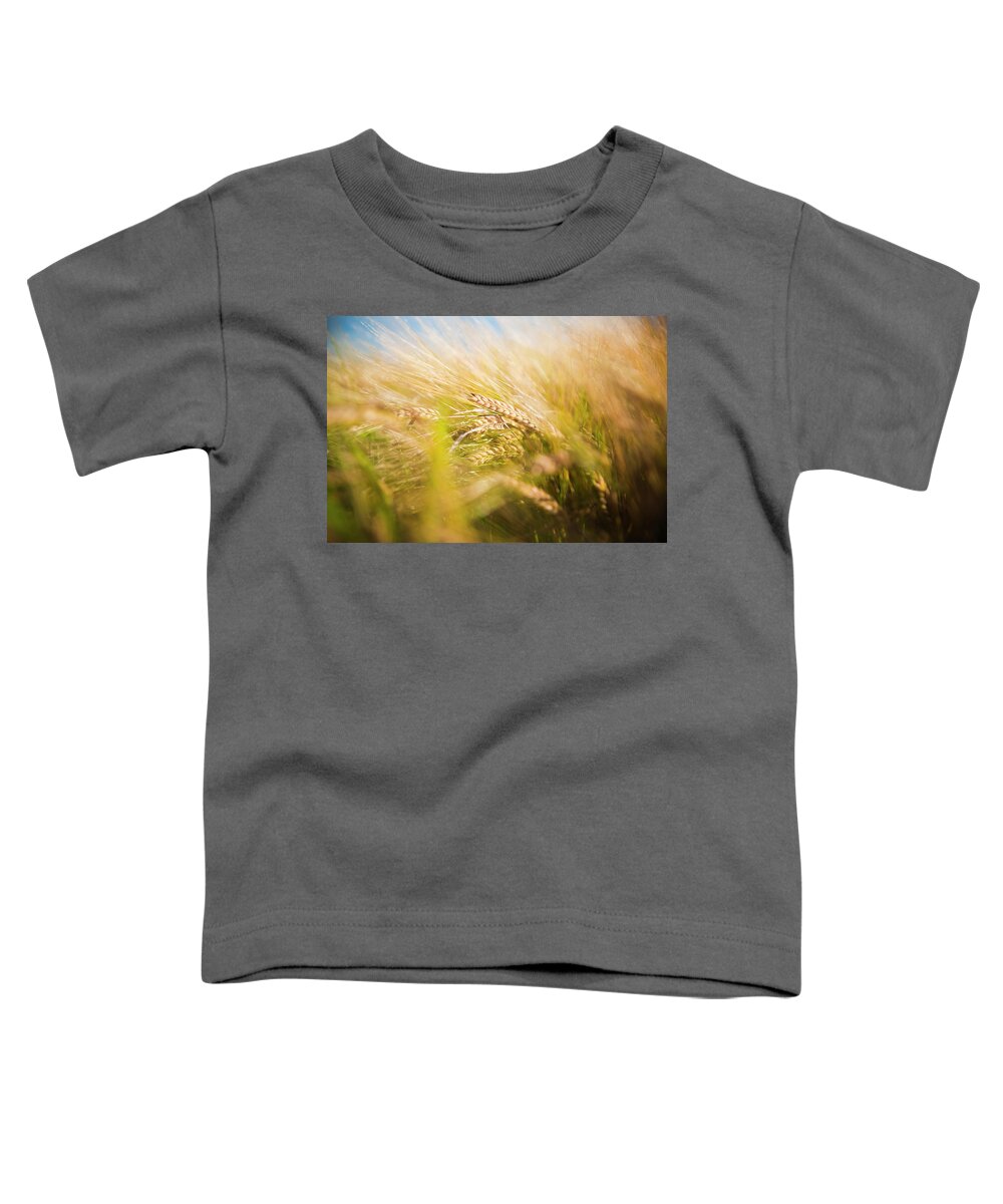 Agricultural Toddler T-Shirt featuring the photograph Background of ears of wheat in a sunny field. by Joaquin Corbalan