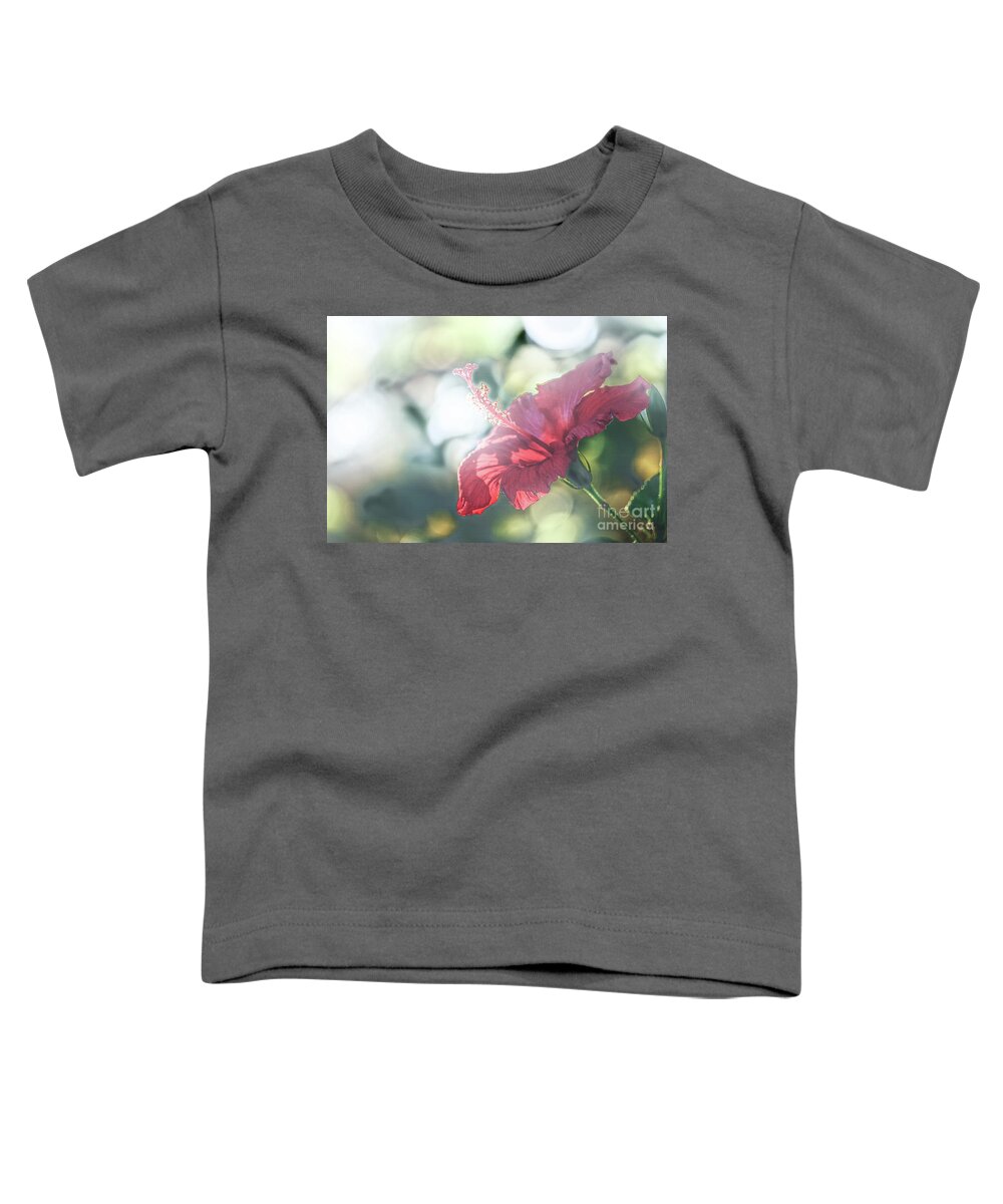 Flower Toddler T-Shirt featuring the photograph Backlit Stamin by Darcy Dietrich