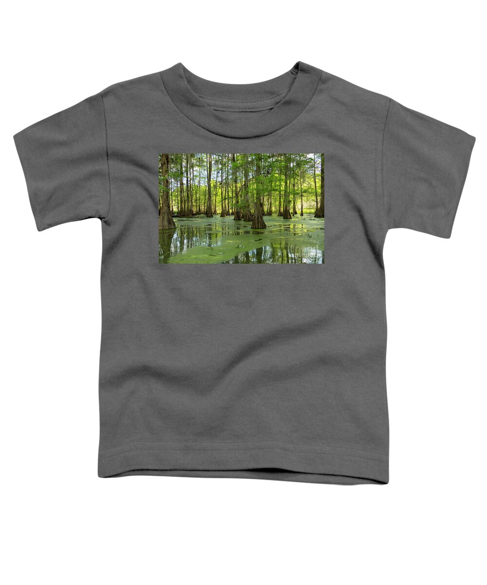 America Toddler T-Shirt featuring the photograph Bald cypresses at Lake Martin, Louisiana by Patricia Hofmeester