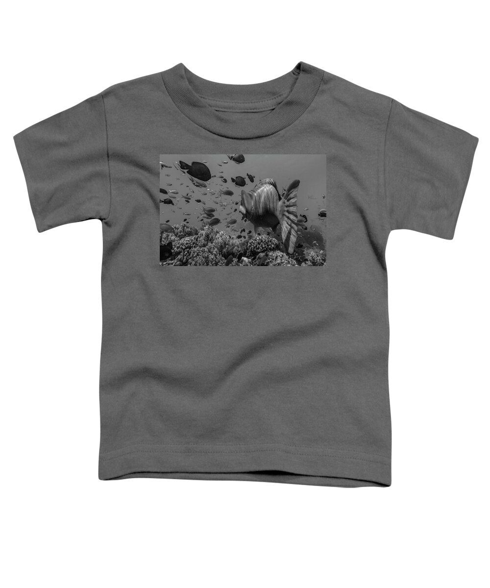 Disk1215 Toddler T-Shirt featuring the photograph Balicasag Island Fish Philippines by Tim Fitzharris