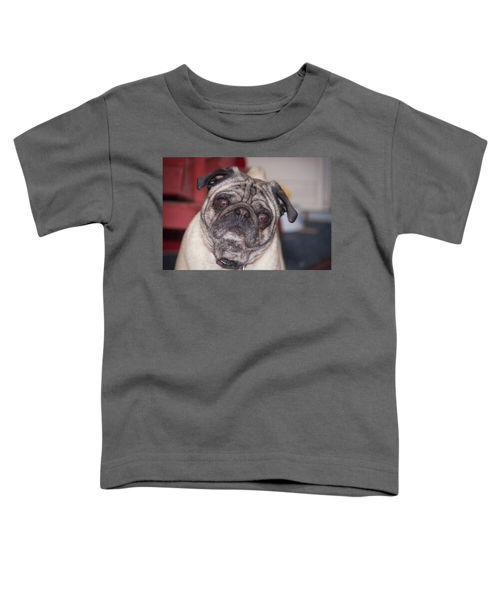 Pug Toddler T-Shirt featuring the digital art Bandiat by David Martin