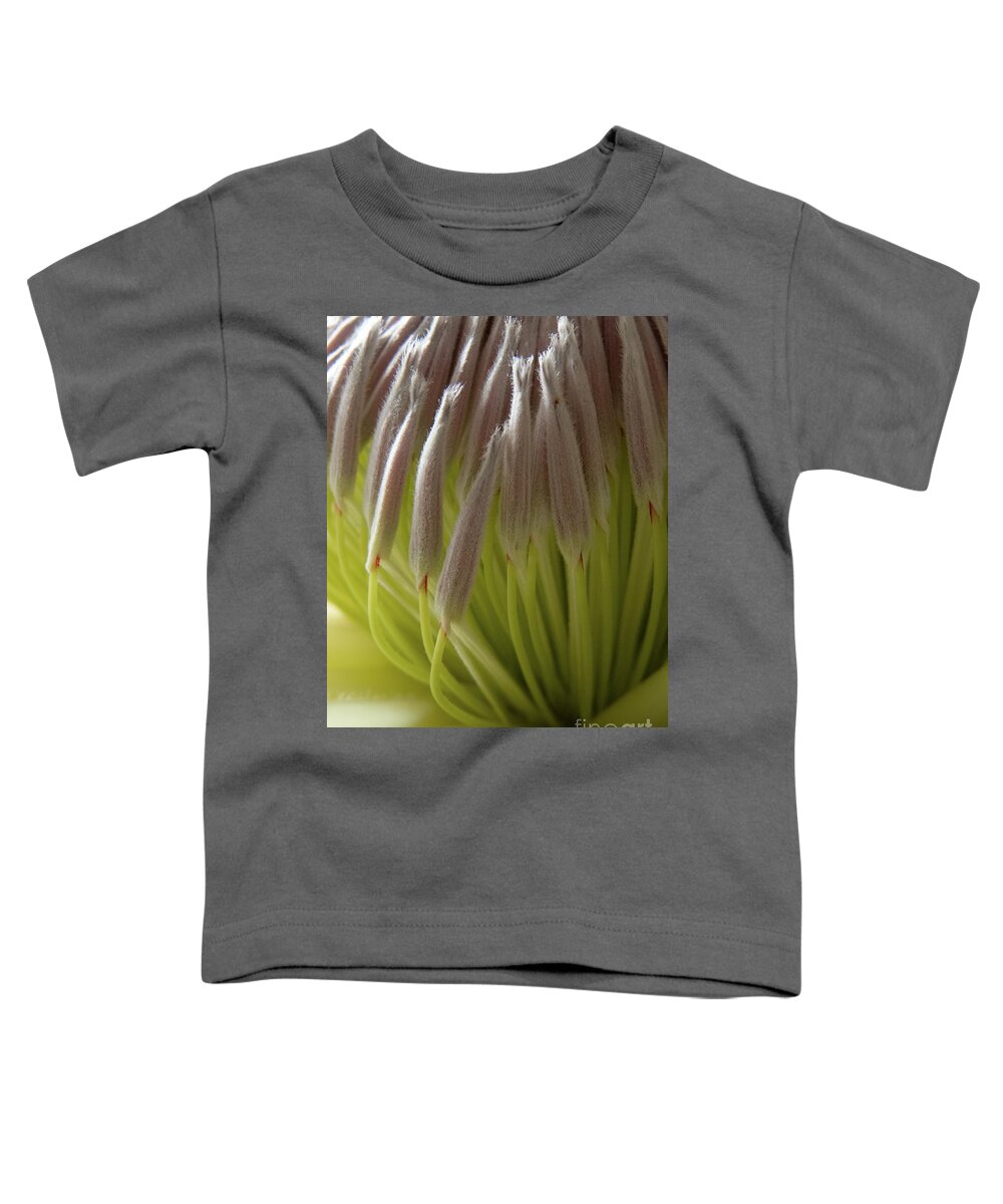 Banksia Toddler T-Shirt featuring the photograph Banksia Close up by Christy Garavetto