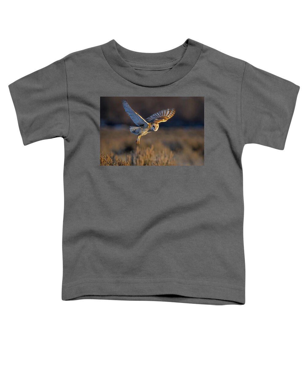 Barn Owl Toddler T-Shirt featuring the photograph Barn Owl Take Off by Rick Mosher