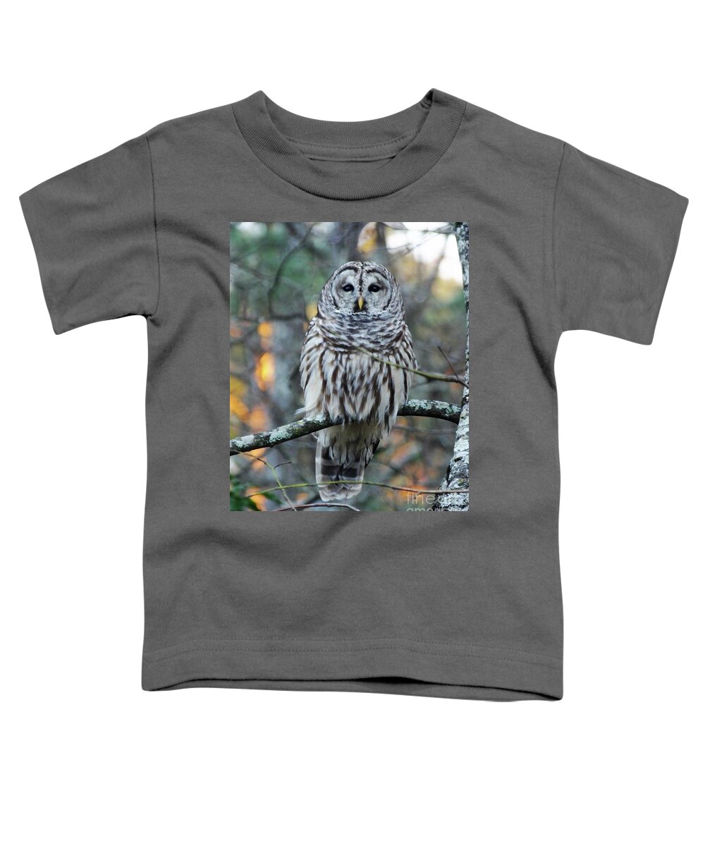 Owl Toddler T-Shirt featuring the photograph Barred owl 11 by Lizi Beard-Ward