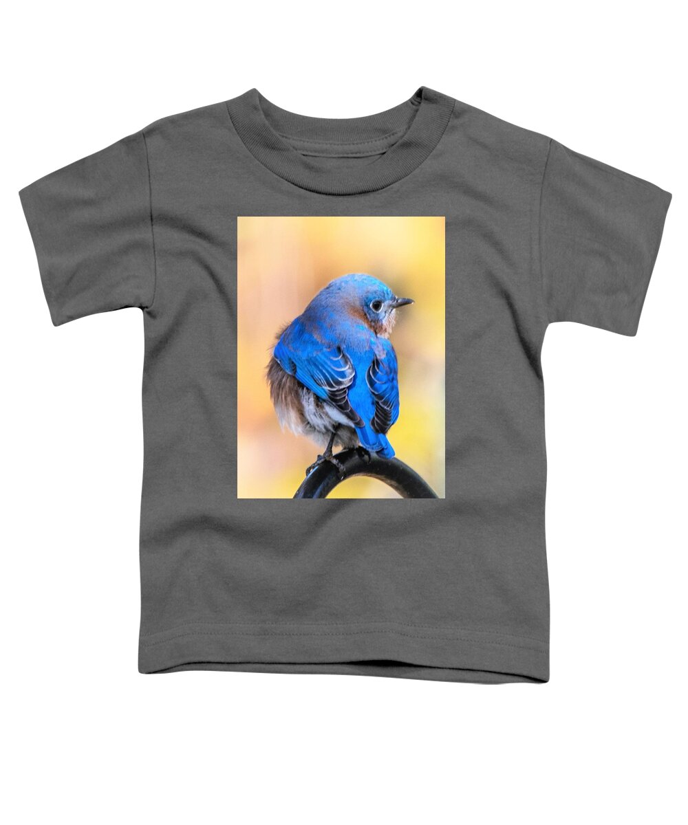 Eastern Bluebird Toddler T-Shirt featuring the photograph Beautiful Bluebird by Mary Ann Artz