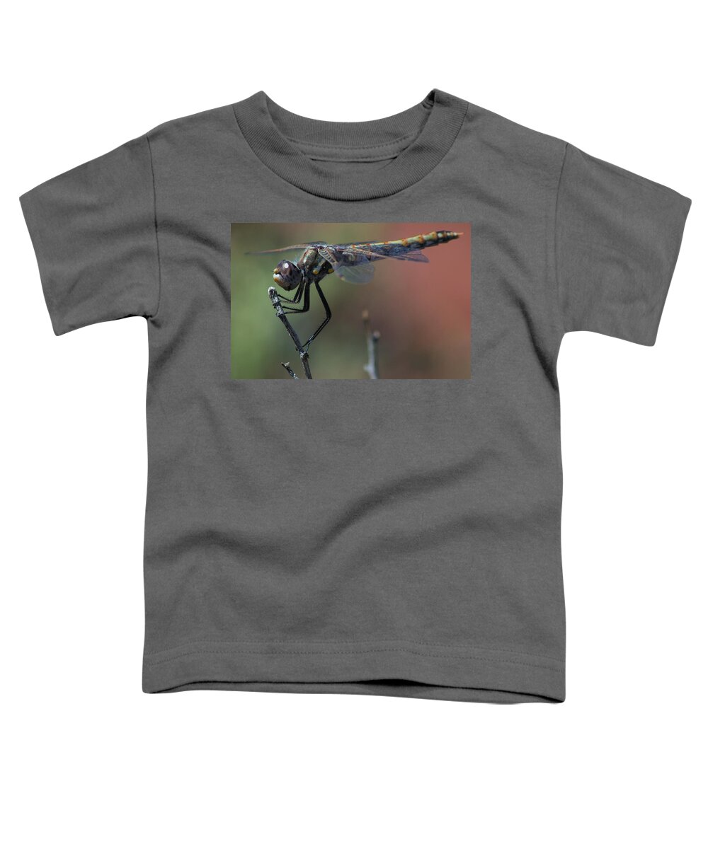 Beautiful Toddler T-Shirt featuring the photograph Beauty of the Tiny Beast by Jonathan Thompson