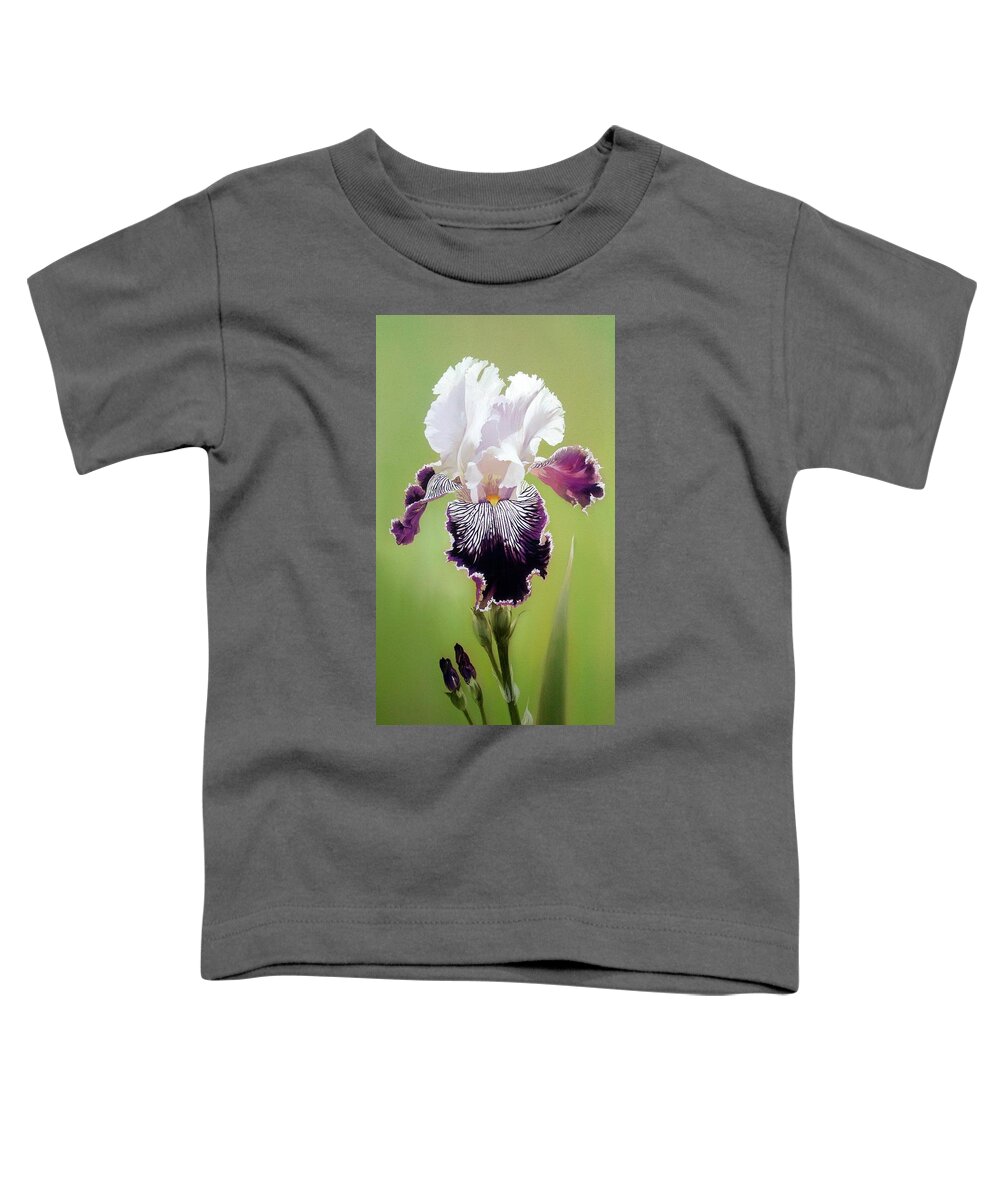 Russian Artists New Wave Toddler T-Shirt featuring the painting Bi-colored Iris Flower Fragment by Alina Oseeva