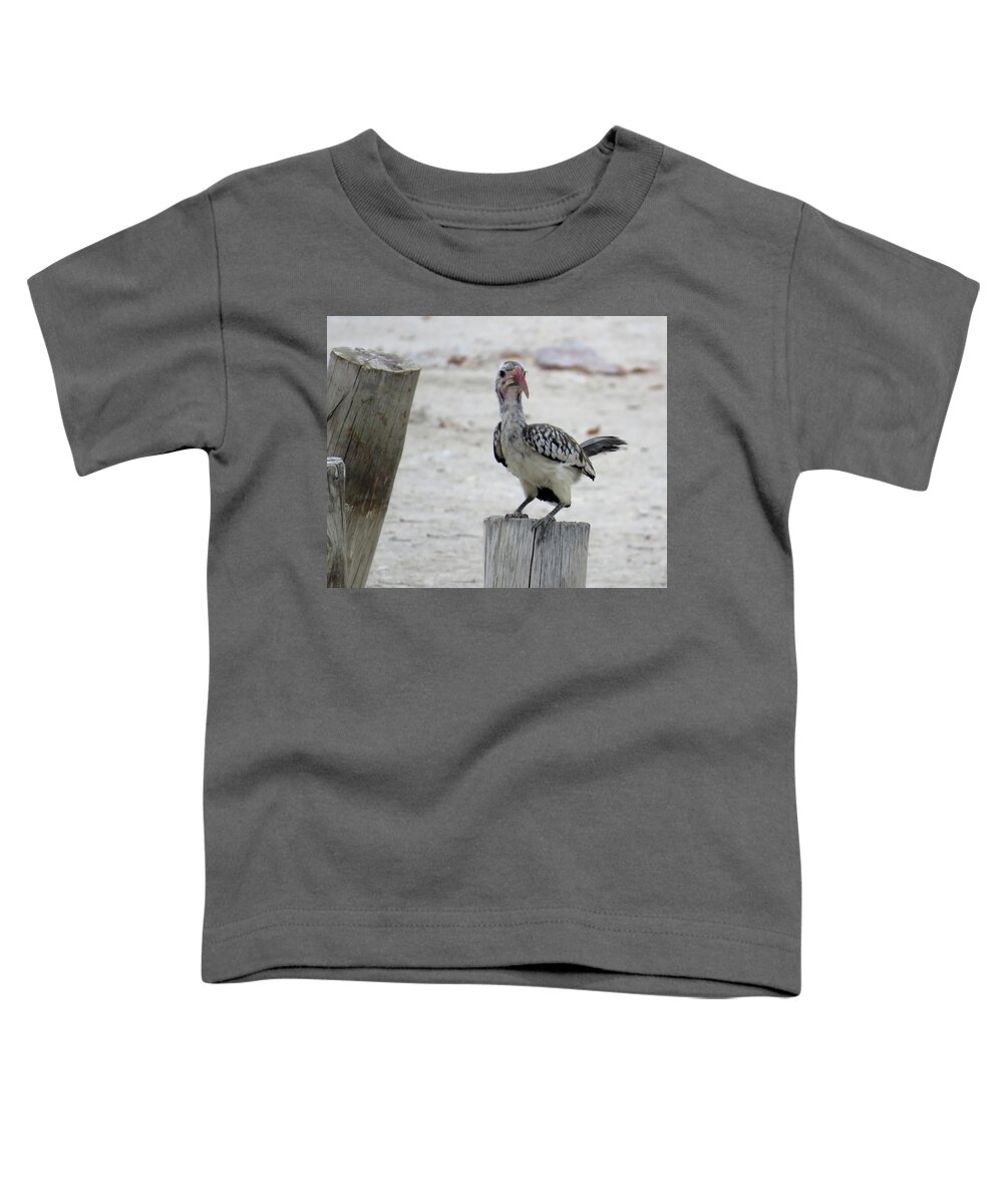 Bird Toddler T-Shirt featuring the photograph Bird by Eric Pengelly