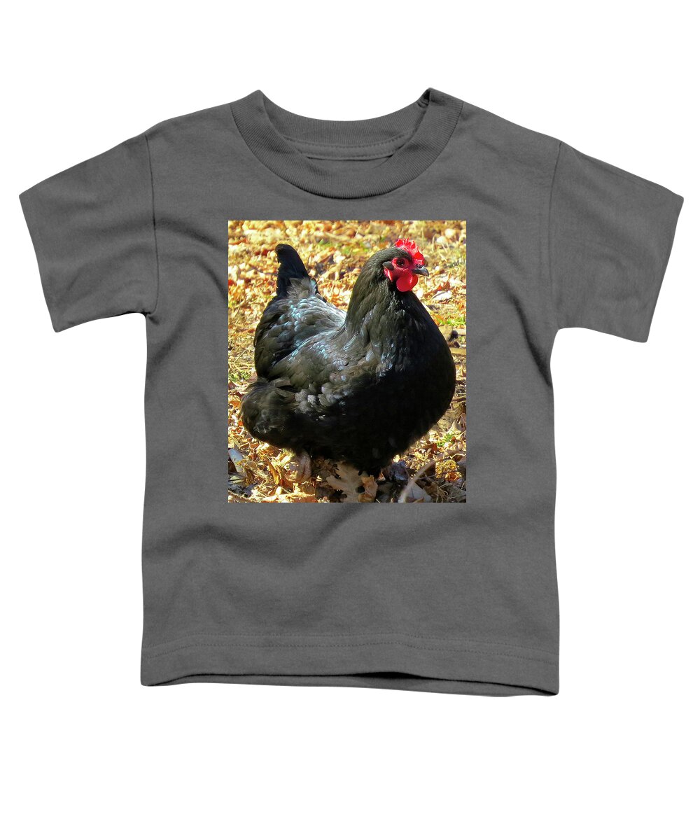 Black Chickens Toddler T-Shirt featuring the photograph Black Jersey Giant by Linda Stern