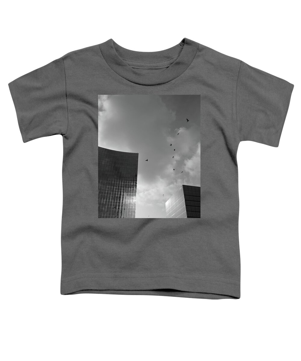 Black And White Toddler T-Shirt featuring the photograph Blocks And Birds by Kreddible Trout