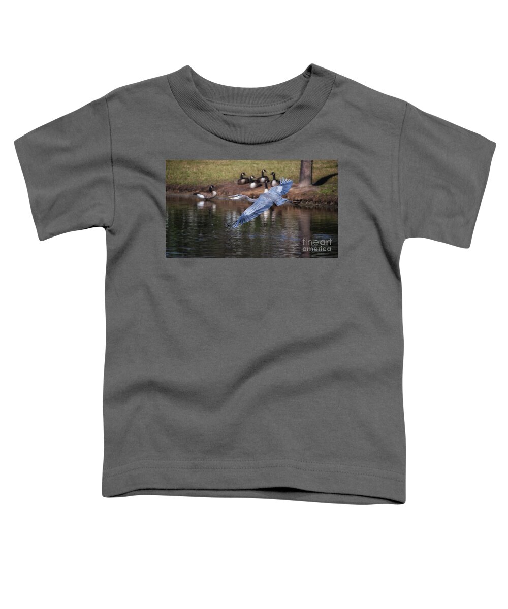 Blue Heron Toddler T-Shirt featuring the photograph Blue Heron Coming in Hot by Dale Powell