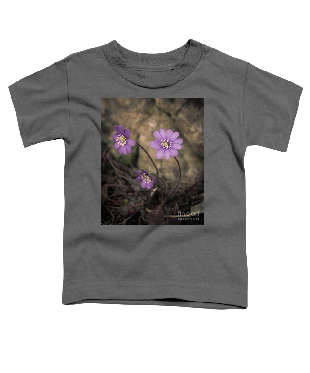 Common Toddler T-Shirt featuring the photograph Blue violet anemone flower growing in a stone wall by Amanda Mohler