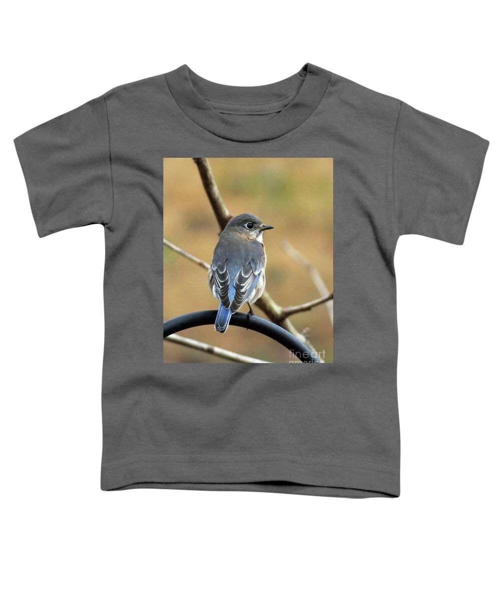 Birding Toddler T-Shirt featuring the photograph Bluebird 24 by Lizi Beard-Ward