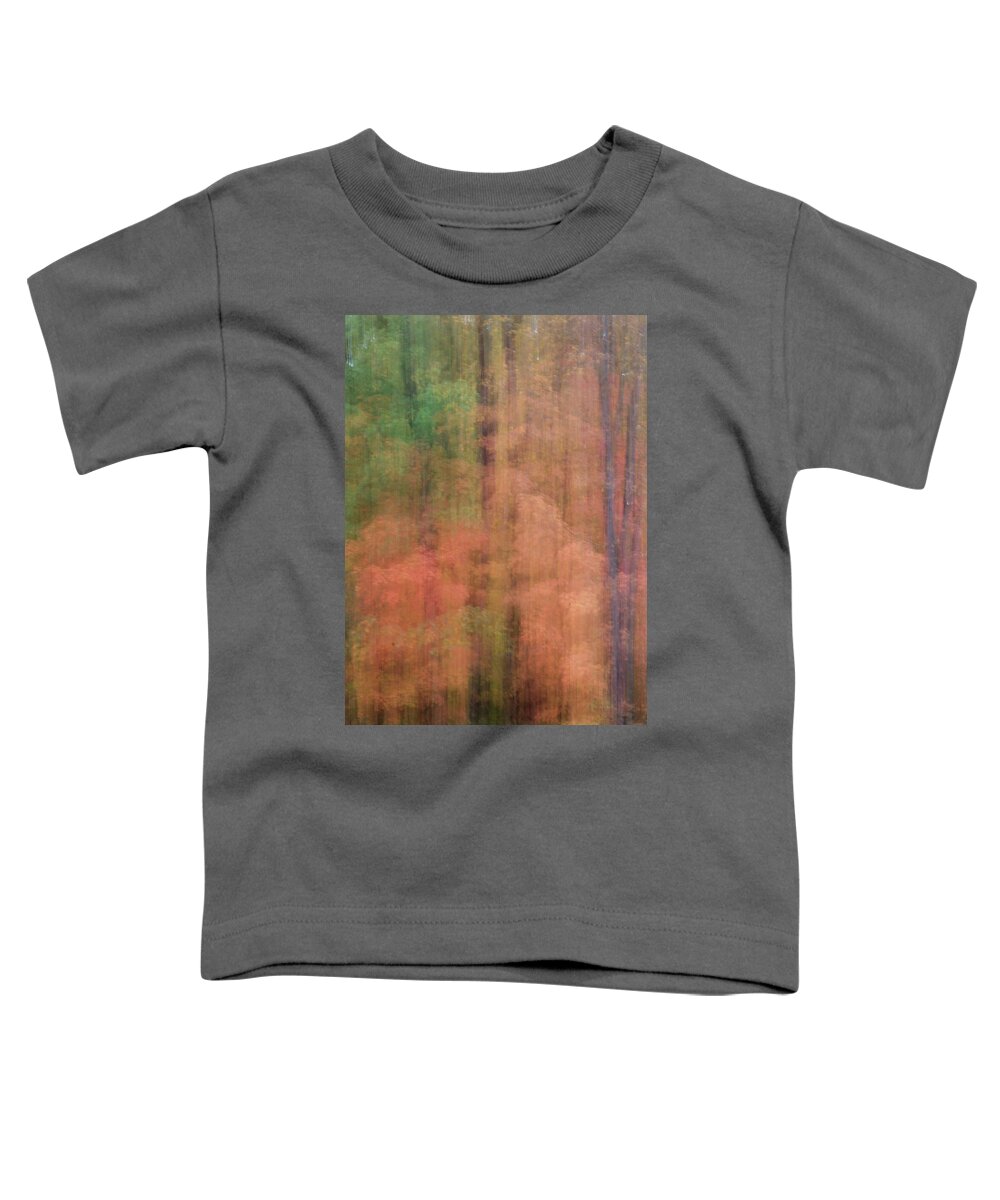 Camera Motion Toddler T-Shirt featuring the photograph Blurred Lines by Stewart Helberg