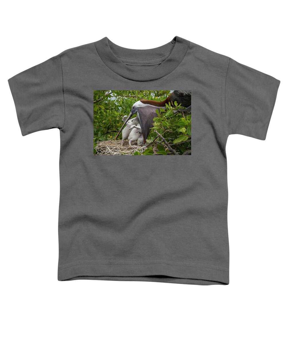 Academy Bay Toddler T-Shirt featuring the photograph Brown Pelican Feeding Chicks by Tui De Roy