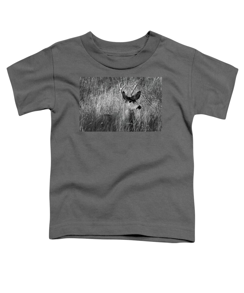 Richard E. Porter Toddler T-Shirt featuring the photograph Brushed Up - Deer, Texas Panhandle by Richard Porter